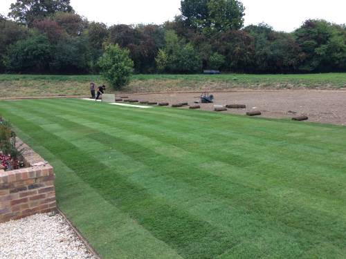 New lawn